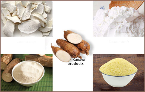 Catálogo y lista de productos de máquinas para procesar yuca
