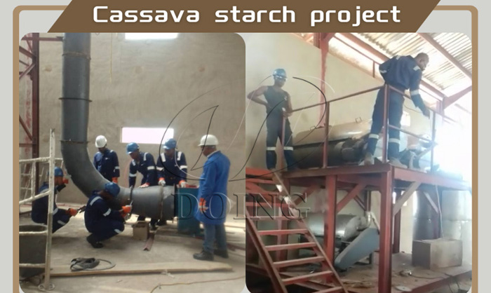 cassava starch project