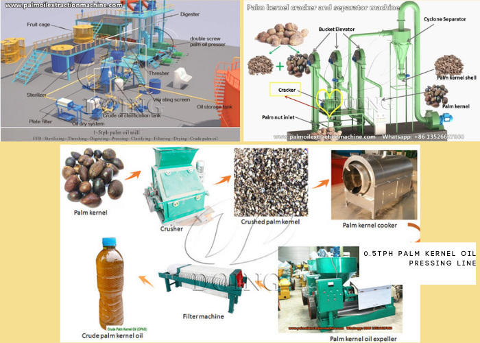 Equipos de extracción de aceite de palma y aceite de palmiste.jpg