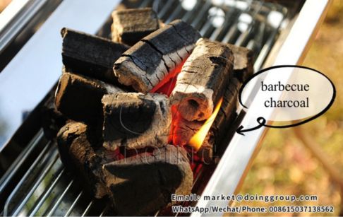 ¿Cómo hacer carbón vegetal para barbacoa?